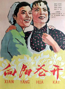 加勒比视频